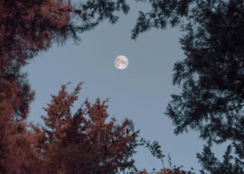 Лише один день: коли в жовтні 2024 не слід нічого планувати