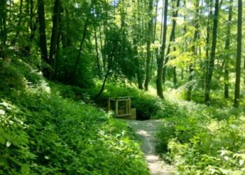 На Конотопщині додалося нових об’єктів природно-заповідного фонду