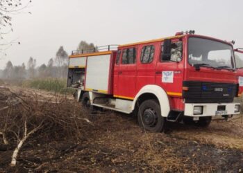 На Кролевеччині продовжують горіти торфяники