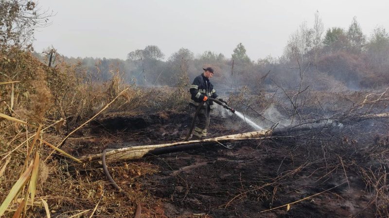 На Кролевеччині продовжують горіти торфяники