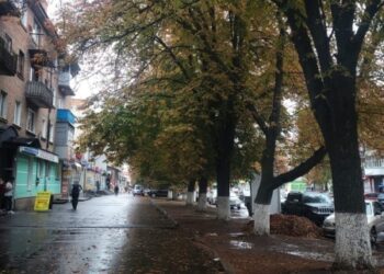 На початку наступного тижня дощитиме