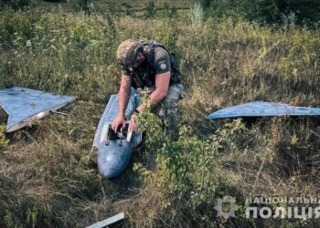 На Сумщині вибухотехніки знешкодили ворожий ударний БПЛА