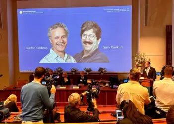 Нобелівську премію з медицини й фізіології отримали Віктор Амброс та Гері Равкан за відкриття мікроРНК, які регулюють роботу генів