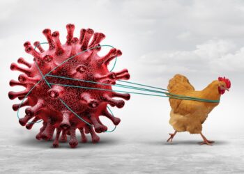 Обережно! Пташиний грип!