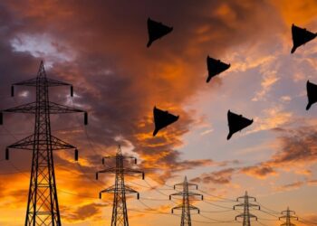 Росіяни вперше за 48 діб вночі не запускали по Україні ”Шахеди”