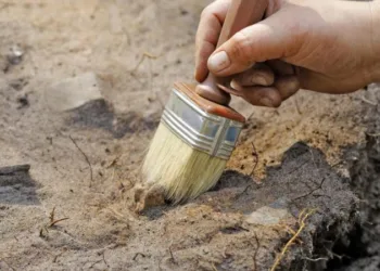 У джунглях Мексики знайшли величезне загублене місто цивілізації Майя