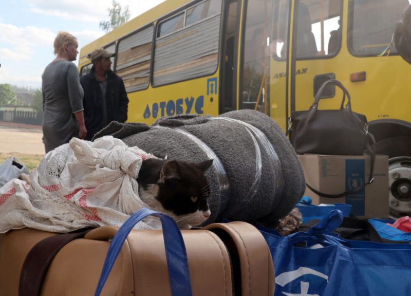 У Шосткинській РВА повідомили, що з Глухова, Есмані та Свеси евакуйовано 12,2 тис. жителів