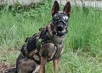 Вчора у Ромнах були “фейкові” замінування обєктів