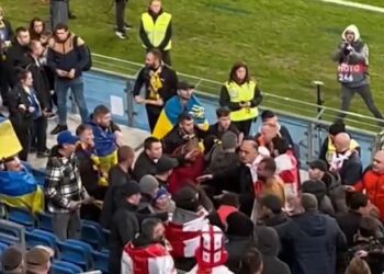 ВІДЕО. Після матчу між Україною та Грузією сталася бійка вболівальників