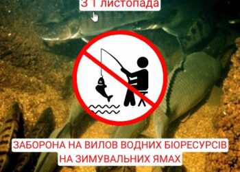 З 1 листопада вводиться заборона вилову водних біоресурсів на зимувальних ямах. Де заборонено ловити рибу в Охтирській громаді