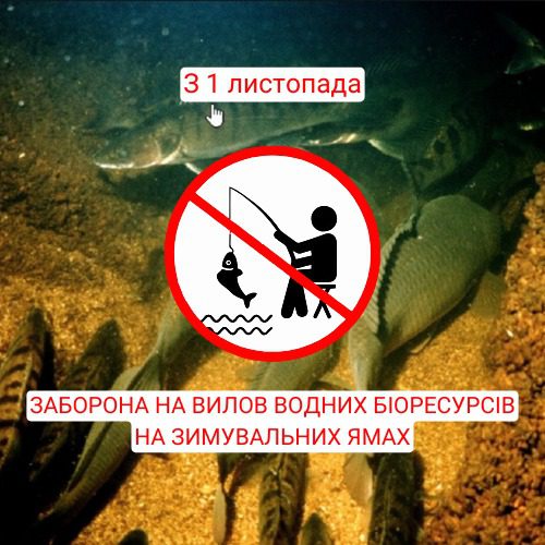 З 1 листопада вводиться заборона вилову водних біоресурсів на зимувальних ямах. Де заборонено ловити рибу в Охтирській громаді