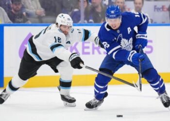 НХЛ: Торонто здобув перемогу над Ютою