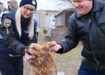 Сеанси каністерапії від поліції Сумщини для поранених захисників України сприяють їх швидшому одужанню