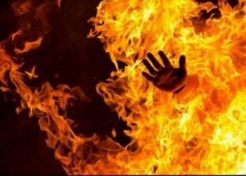 У Шостці в пожежі загинули мати з сином