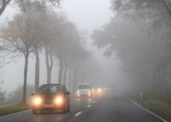Сезон туманів: як безпечно керувати автомобілем у цей період