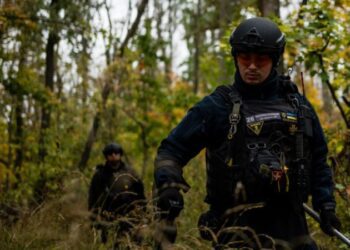 Ветеранів та людей з інвалідністю залучатимуть до розмінування — Міноборони