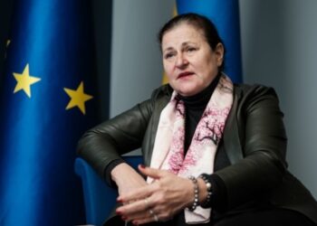 “Небезпека” вступу України в ЄС: посол пояснила, як боротися з фейками РФ