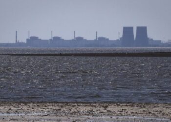 У МЗС Росії заявили, що Москва може зупинити роботу МАГАТЕ на Запорізькій атомній станції