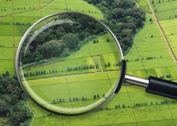 ДО УВАГИ ВЛАСНИКІВ НЕВИТРЕБУВАНИХ  ЗЕМЕЛЬНИХ ДІЛЯНОК (ПАЇВ)