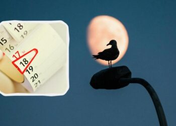 Два підступні дні: коли у листопаді не варто нічого не починати