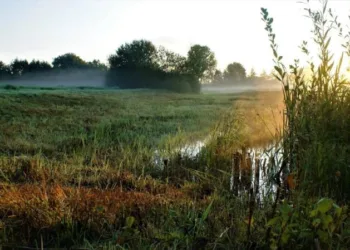 Екстремальні погодні явища стають новою нормою: в WWF-Україна порадили, як запобігти впливу повеней і посух