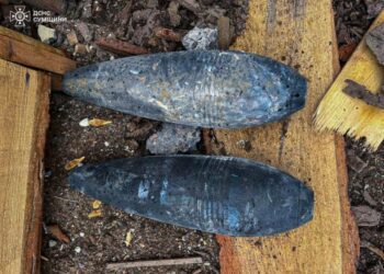 Протягом тижня піротехніки ДСНС знешкодили на Сумщині 60 вибухонебезпечних предметів