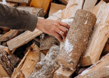 Якщо ви ще не придбали деревину паливну, звертайтесь до ДП “Кролевецький лісгосп”