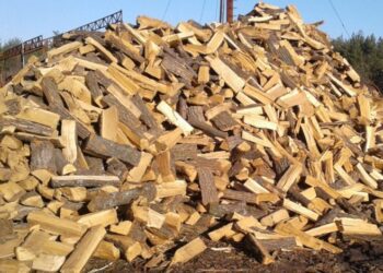 Кролевецький лісгосп продовжує реалізацію дров населенню