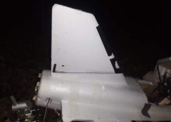 Місцеві захисники неба повідомили про вдале “полювання”