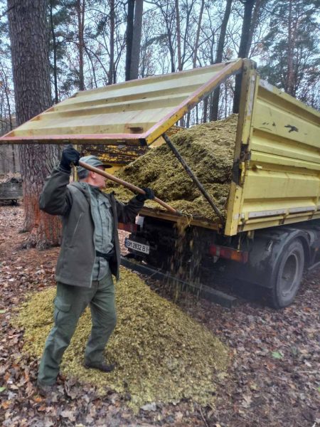 На Конотопщині допомагають вижити червонокнижним зубрам