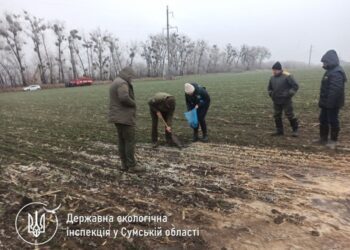 На полі біля Андріївки розлилася нафта + ФОТО