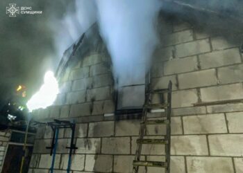 На Шосткинщині ліквідували пожежу в господарському приміщенні + Фото + Відео