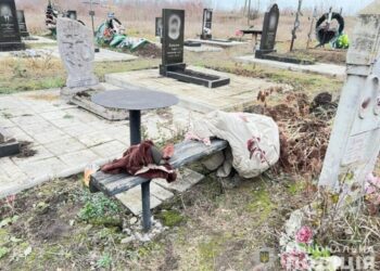 На Сумщині поліцейські викрили жінку, яка скоїла наругу над могилами