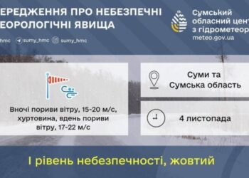 На Сумщині прогнозують сильний вітер та хуртовини 