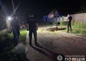 На Сумщині сталася смертельна автопригода