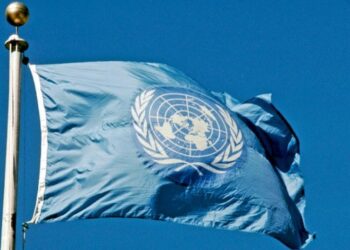 Програма ЮНІДО з зеленого відновлення промисловості України на 2024-2028 роки