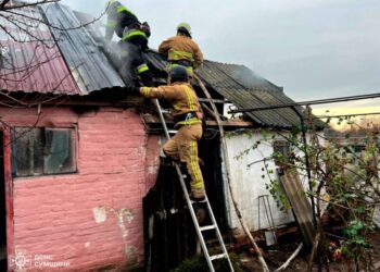 Рятувальники ліквідували загоряння гаражу в Липовій Долині 