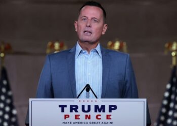 Трамп розглядає Річарда Гренелла на посаду спецпосланця з питань України – Reuters