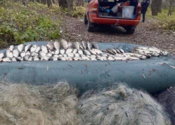 У Н.-Сіверському районі спіймали браконьєрів з Сумщини з незаконним уловом на понад 145 тис. грн.