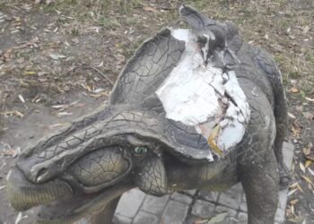 В Охтирці поліція затримала хуліганів, які пошкодили фігури динозаврів в парку