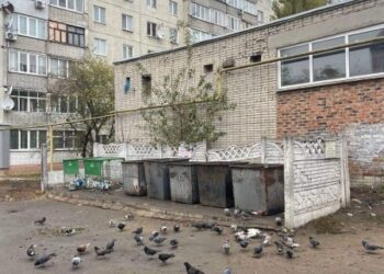 В Охтирці стабілізувалась ситуація з вивезенням сміття