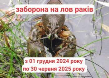 З 1 грудня на Сумщині розпочинається заборона на лов раків