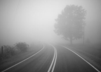 Завтра на Сумщині прогнозують туман