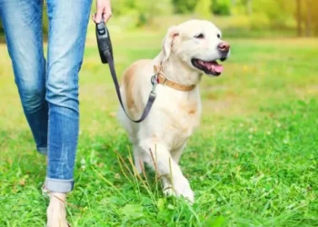 Поводки рулетки