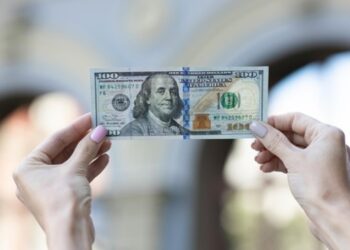 БРІКС не зацікавлений у послабленні долара – Індія