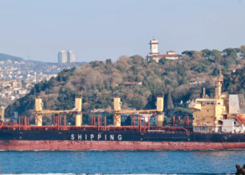 Росіяни возять українське зерно єменським хуситам – Bellingcat