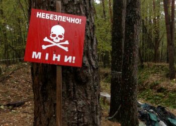 Польща виділила Україні понад 600 тис. доларів на протимінну діяльність. Куди саме підуть кошти