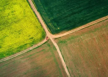 На що звернути увагу при виборі земельної ділянки для ферми?