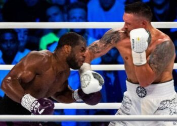 Чжилей оцінив шанси Дюбуа в реванші з Усиком