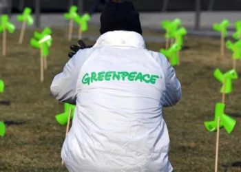 Через пошкодження танкерів у Керченській протоці до моря потрапило 4300 тонн нафтопродуктів: якими будуть наслідки для екології